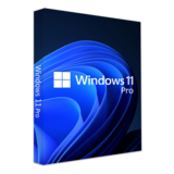 Microsoft  Windows 11 Professional 64-bit HUN DSP OEI DVD (FQC-10537) FQC-10537 kép, fotó